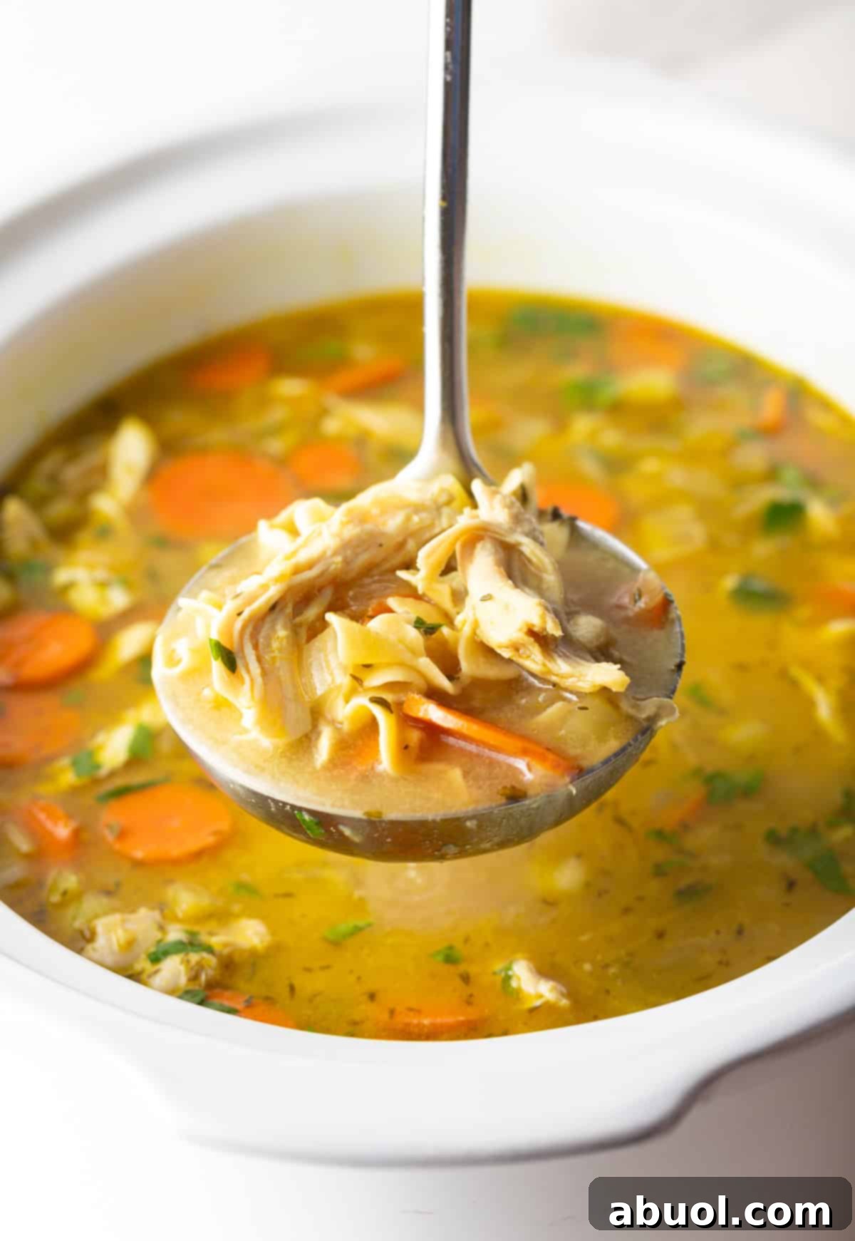 Crockpot Chicken Noodle Soup Ladle