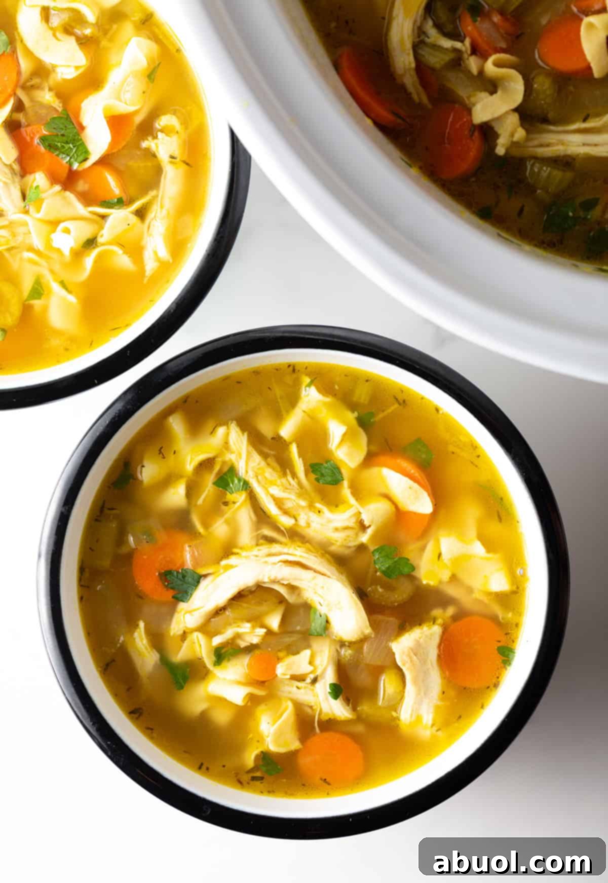 Chicken Noodle Soup and Bread