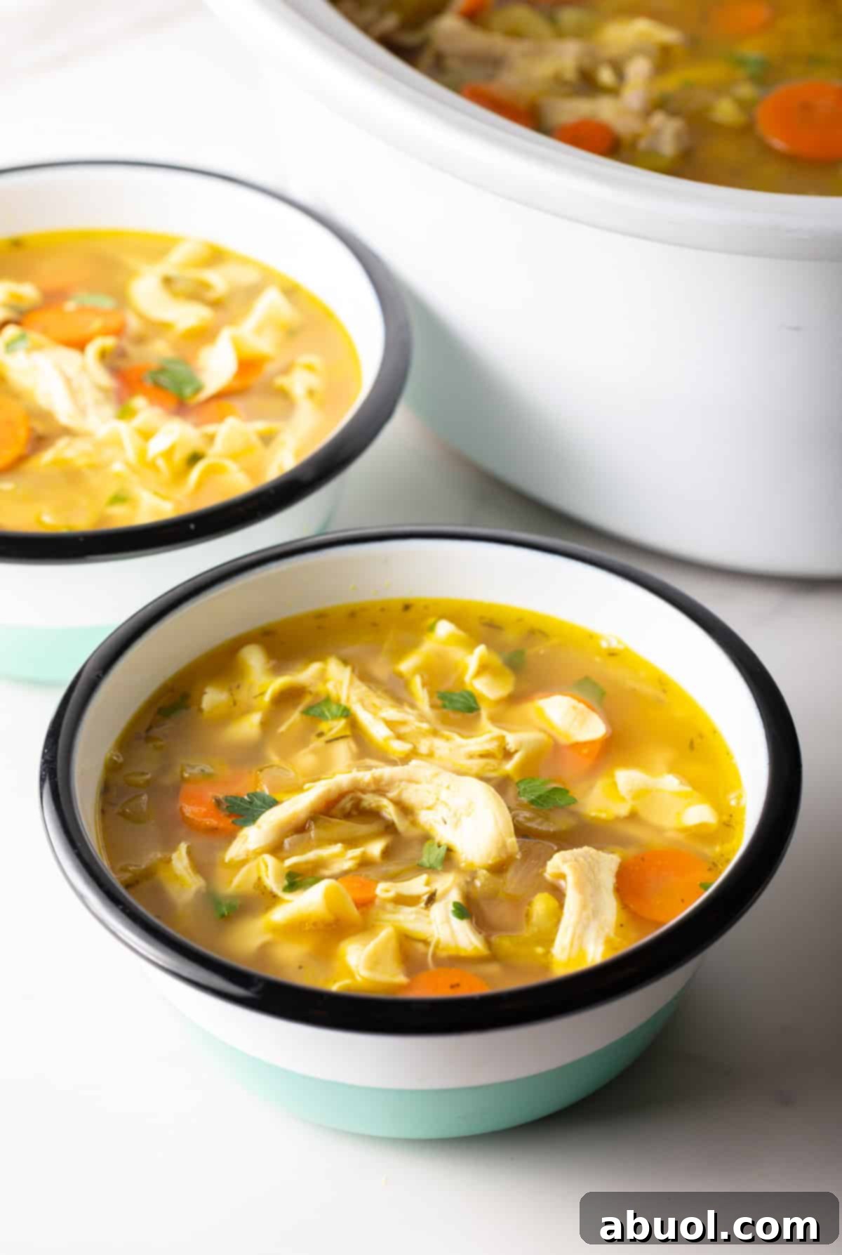 Bowls of Chicken Noodle Soup