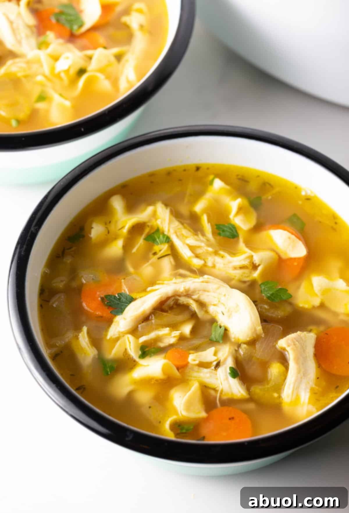 Homemade Crockpot Chicken Noodle Soup