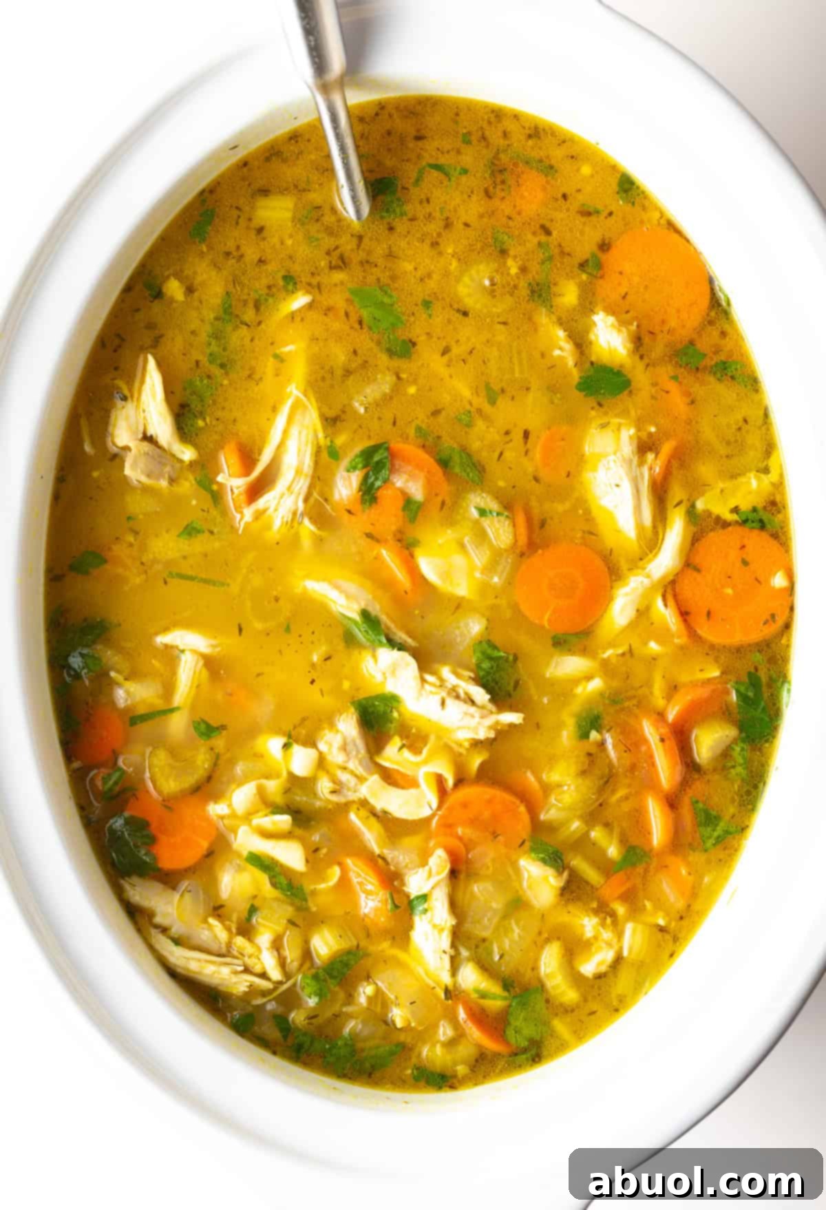 Chicken Noodle Soup in a Crockpot