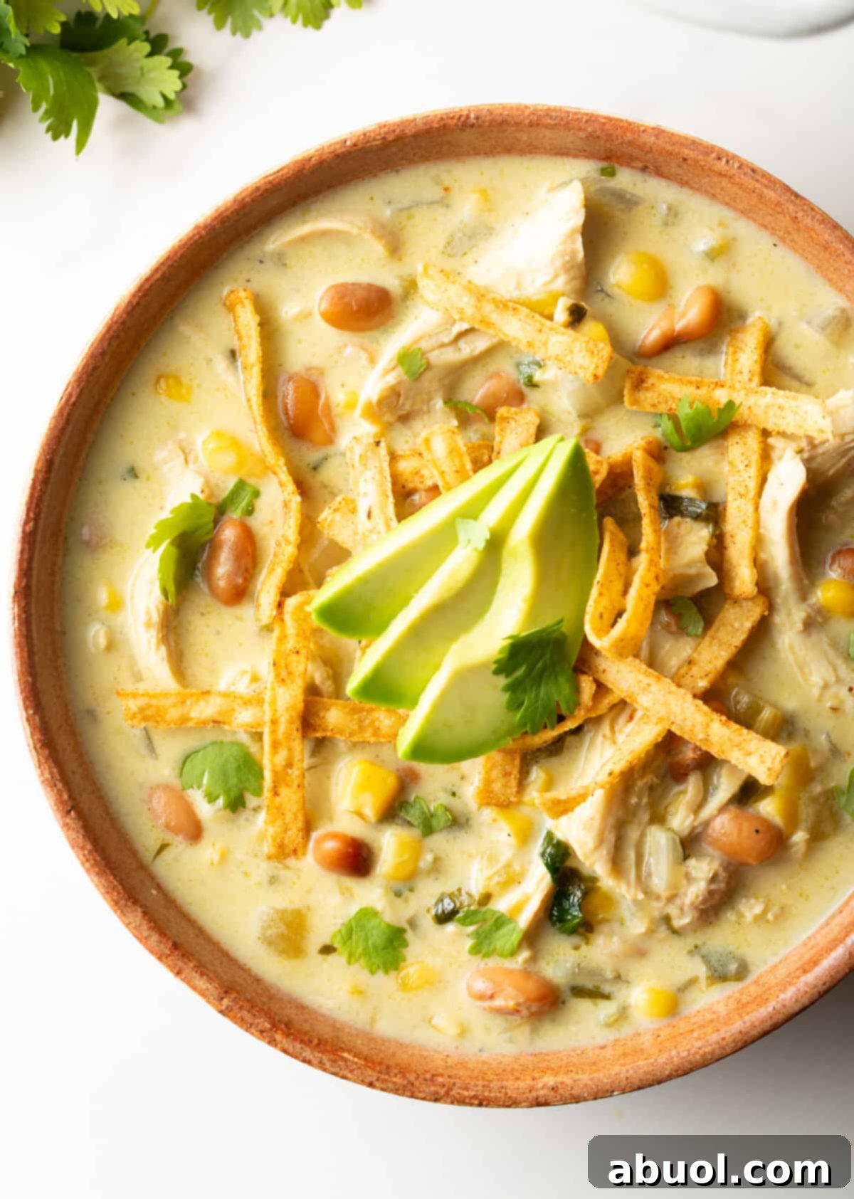 Overhead view of a bowl of creamy green chicken enchilada soup, adorned with crispy tortilla strips and slices of fresh avocado.