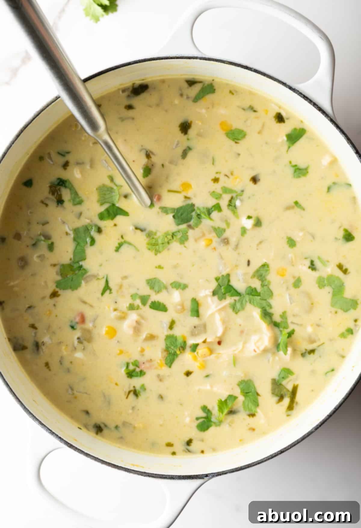 Overhead view of creamy chicken soup simmering in a large white cooking pot.