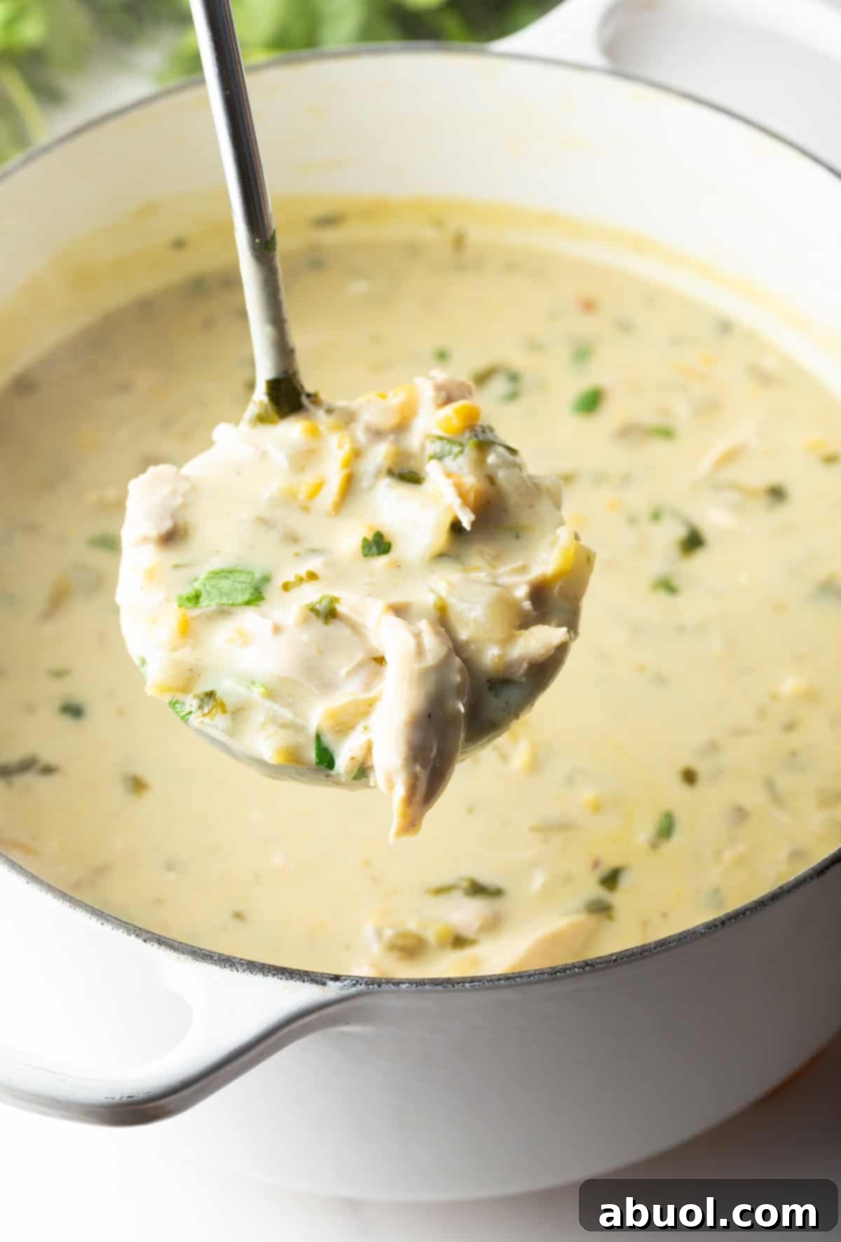 A ladleful of chicken soup held up to the camera, showcasing its creamy texture.