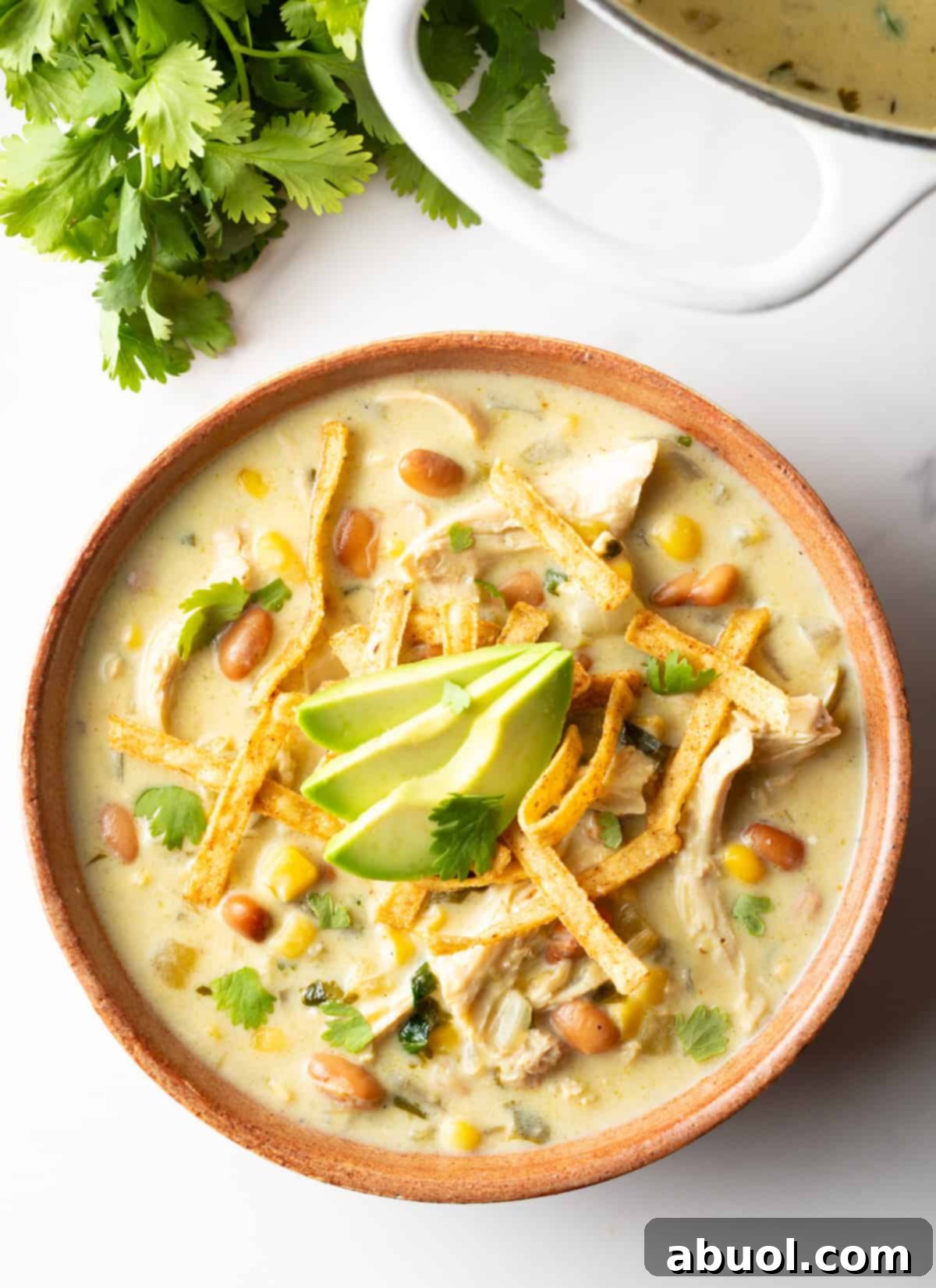 Top down view of a bowl of vibrant green chicken enchilada soup, topped with tortilla strips and slices of avocado.