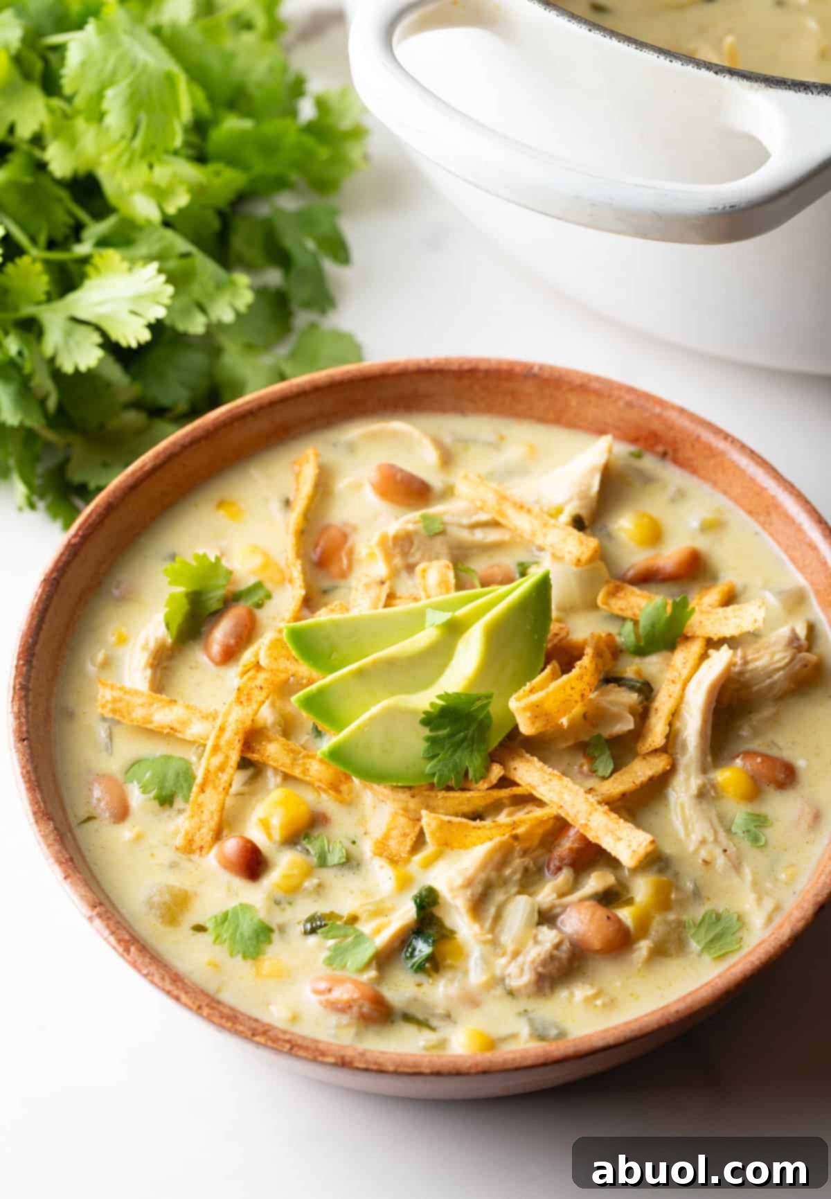 Close-up of a bowl of green chicken enchilada soup, garnished with tortilla strips and avocado slices.