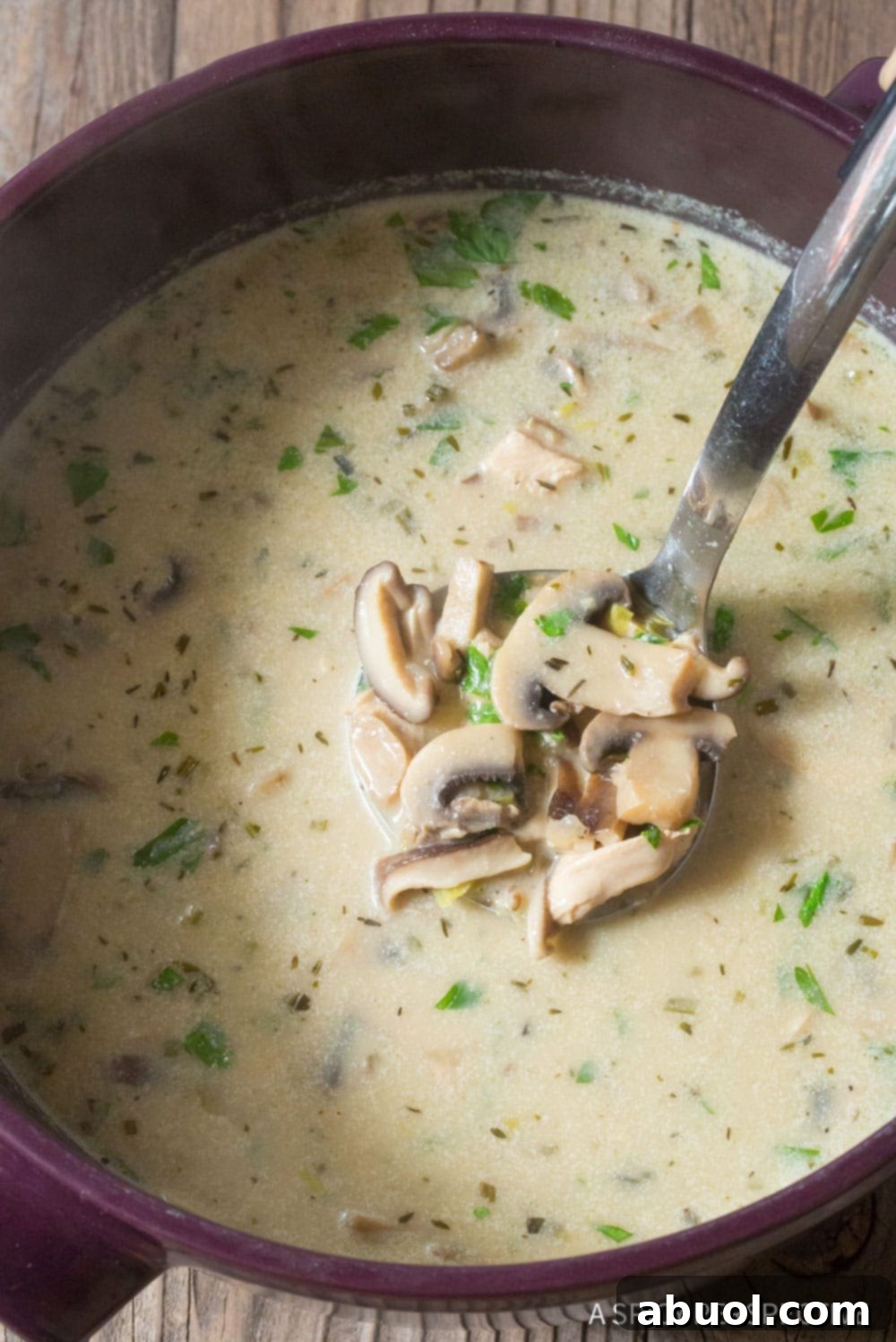 A spoon lifting a spoonful of creamy chicken mushroom soup from a bowl, showcasing the texture and richness of the soup.