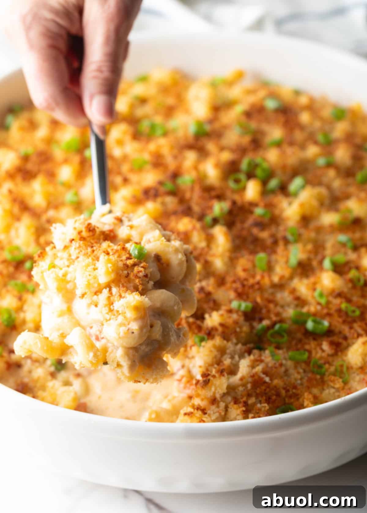 Another close-up of New Orleans mac and cheese