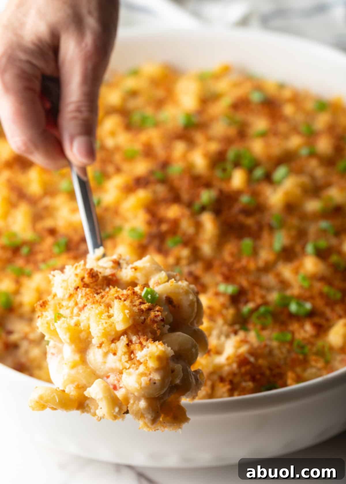A spoon scooping New Orleans macaroni and cheese