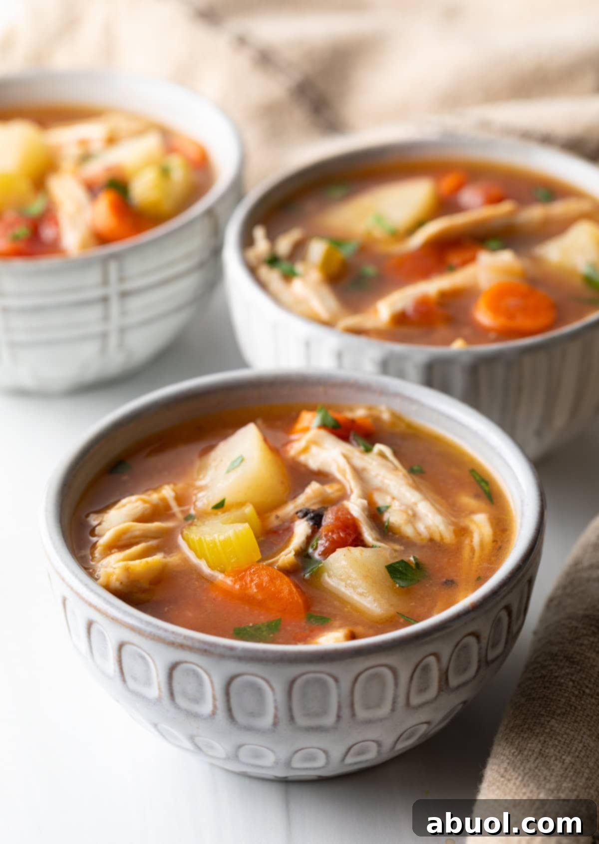 Savory Slow Cooker Chicken Stew 2 Three bowls of homemade chicken stew with potatoes, carrots, and celery in a tomato broth.