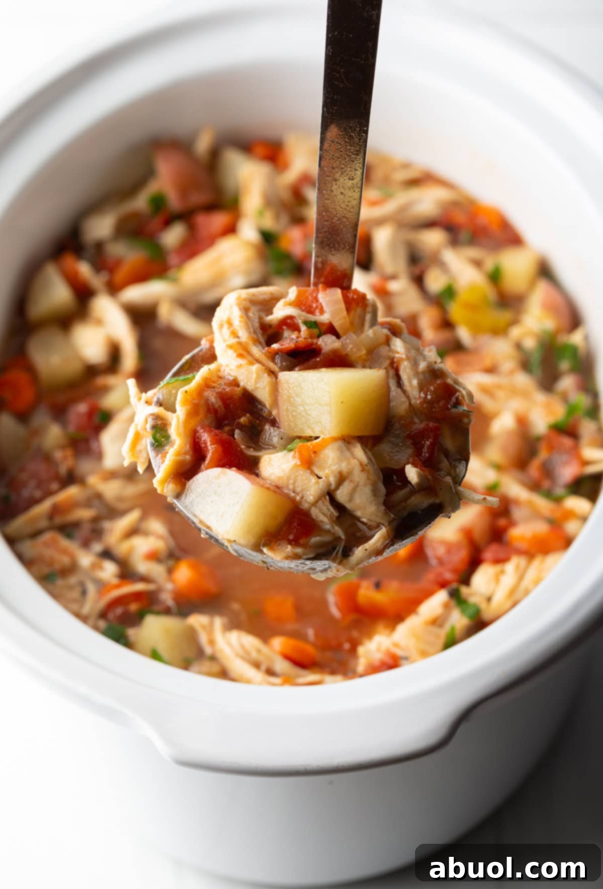 Savory Slow Cooker Chicken Stew 11 Ladleful of chicken stew held to camera.