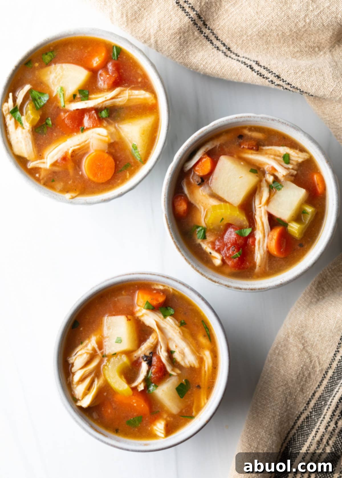 Savory Slow Cooker Chicken Stew 12 Top down view of three bowls of chicken stew with potatoes, carrots, and celery in a tomato broth.