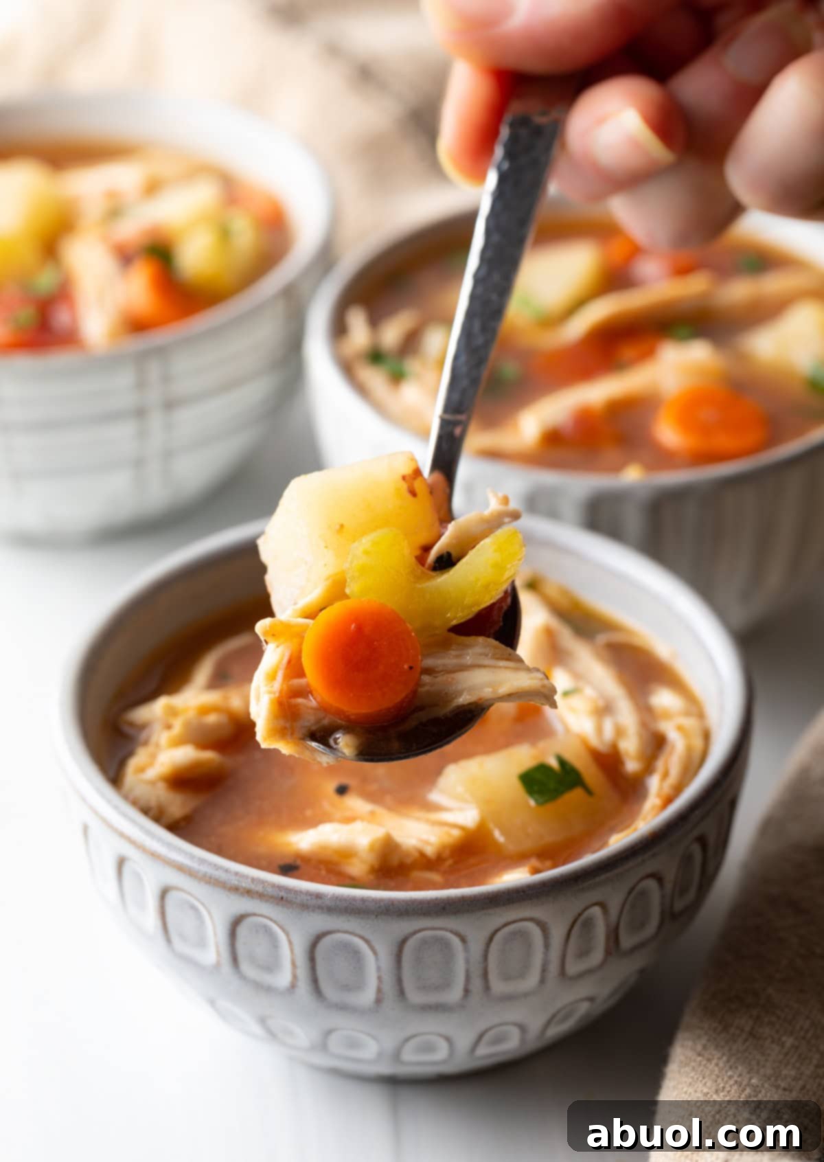 Savory Slow Cooker Chicken Stew 5 Hand holding a spoonful of chicken stew, revealing tomato broth, chicken, carrots, and potatoes.