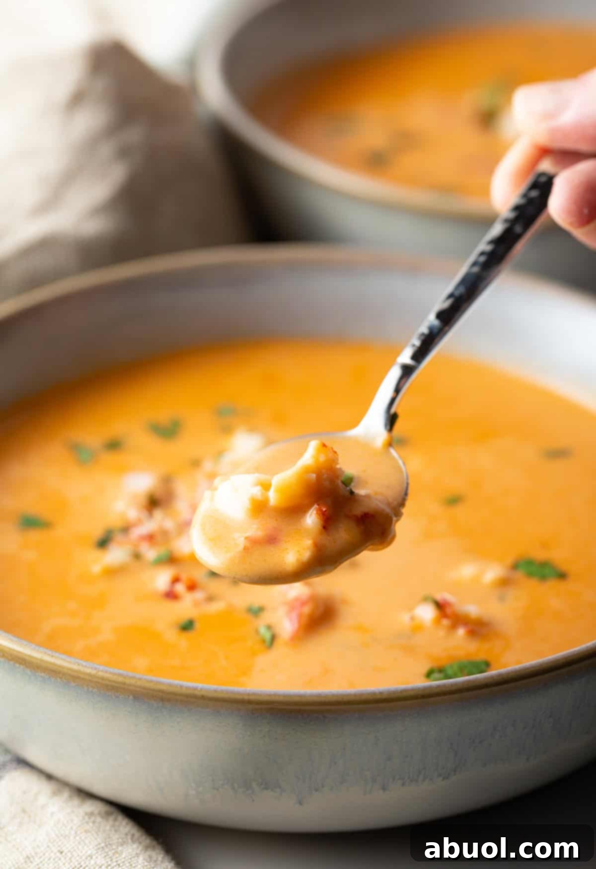 A spoon with a bite of lobster bisque recipe is hovering over a bowl full of the soup.