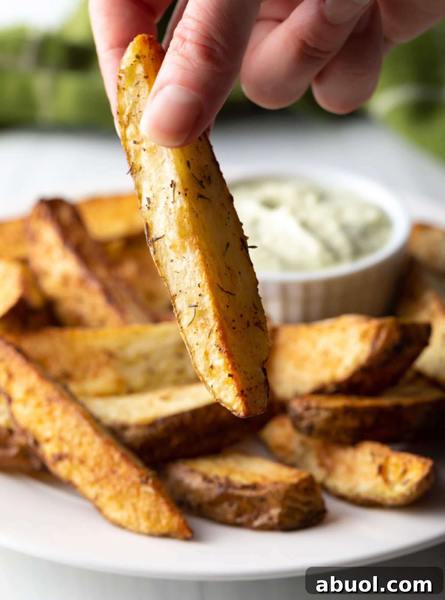 Air Fryer Potato Bites 5 Hand Holding an Air Fryer Potato Wedge