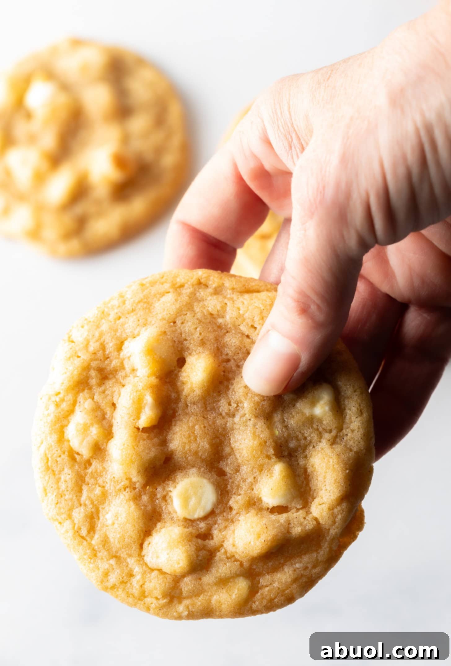 A hand gently holding a fresh white chocolate macadamia nut cookie, showcasing its golden color and the visible chunks of chocolate and nuts.