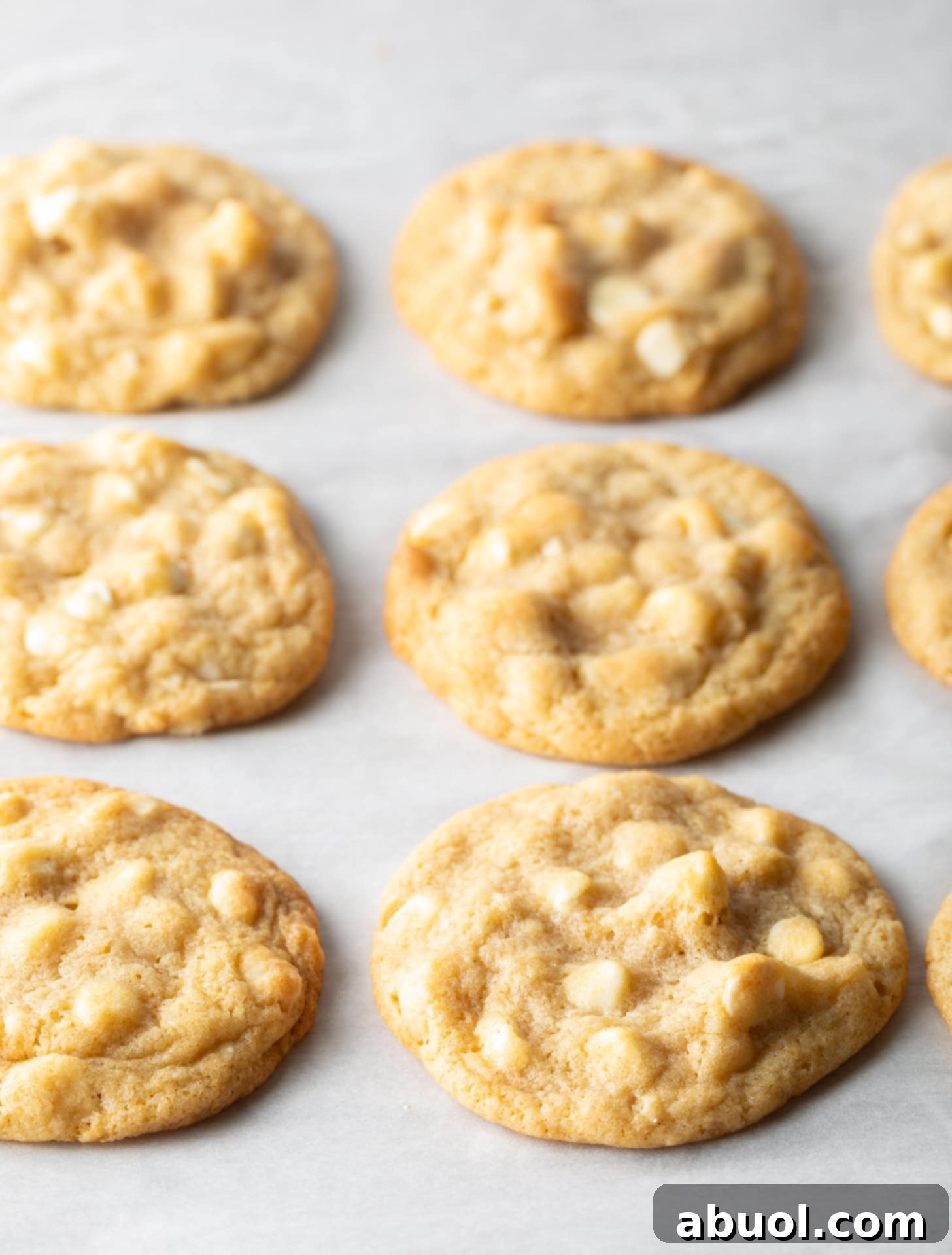 Three rows of three perfectly baked white chocolate macadamia nut cookies cooling on parchment paper, fresh from the oven.
