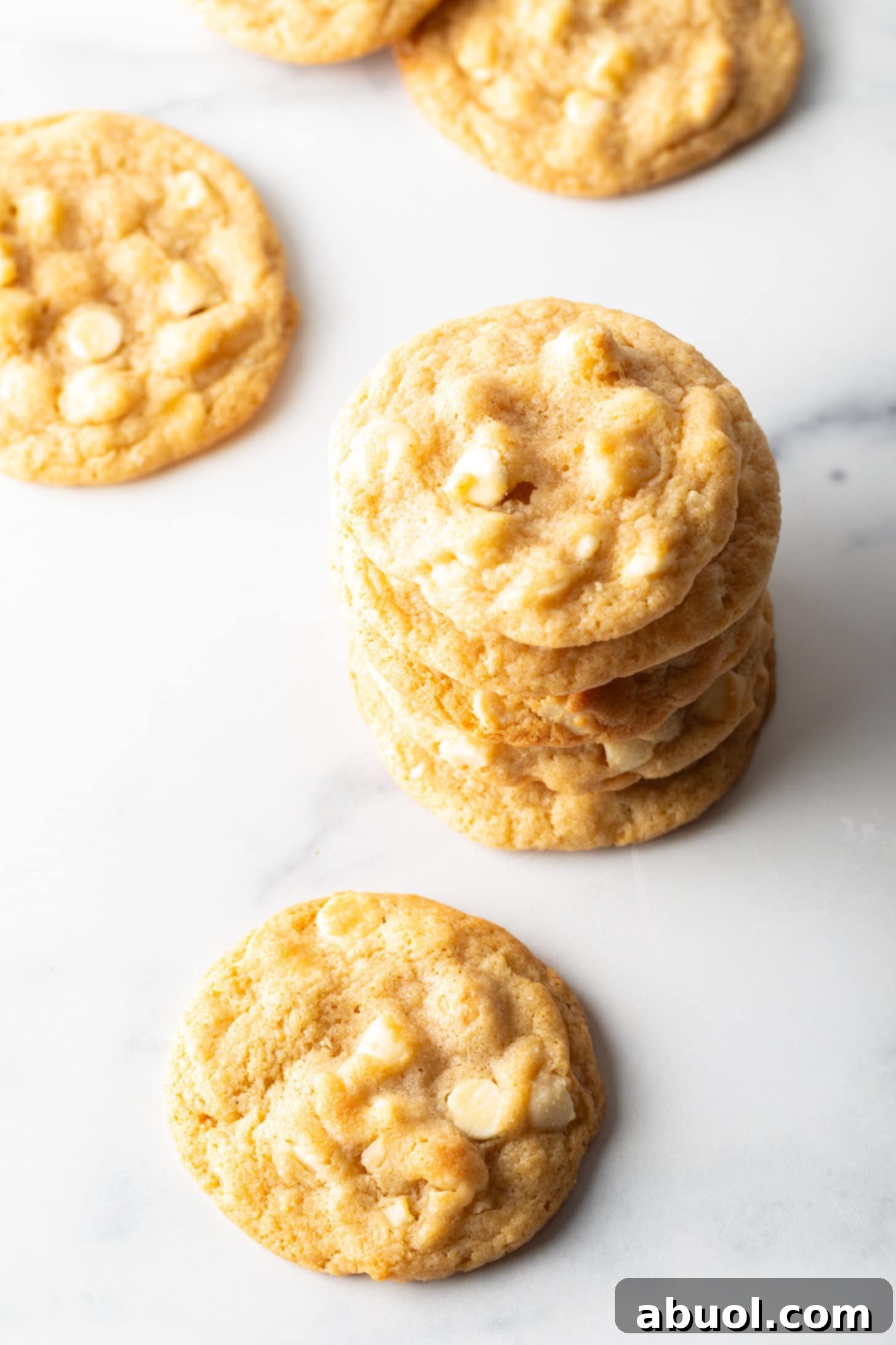 A charming display of five white chocolate macadamia nut cookies, stacked neatly with another cookie resting in front, highlighting their tempting appearance.