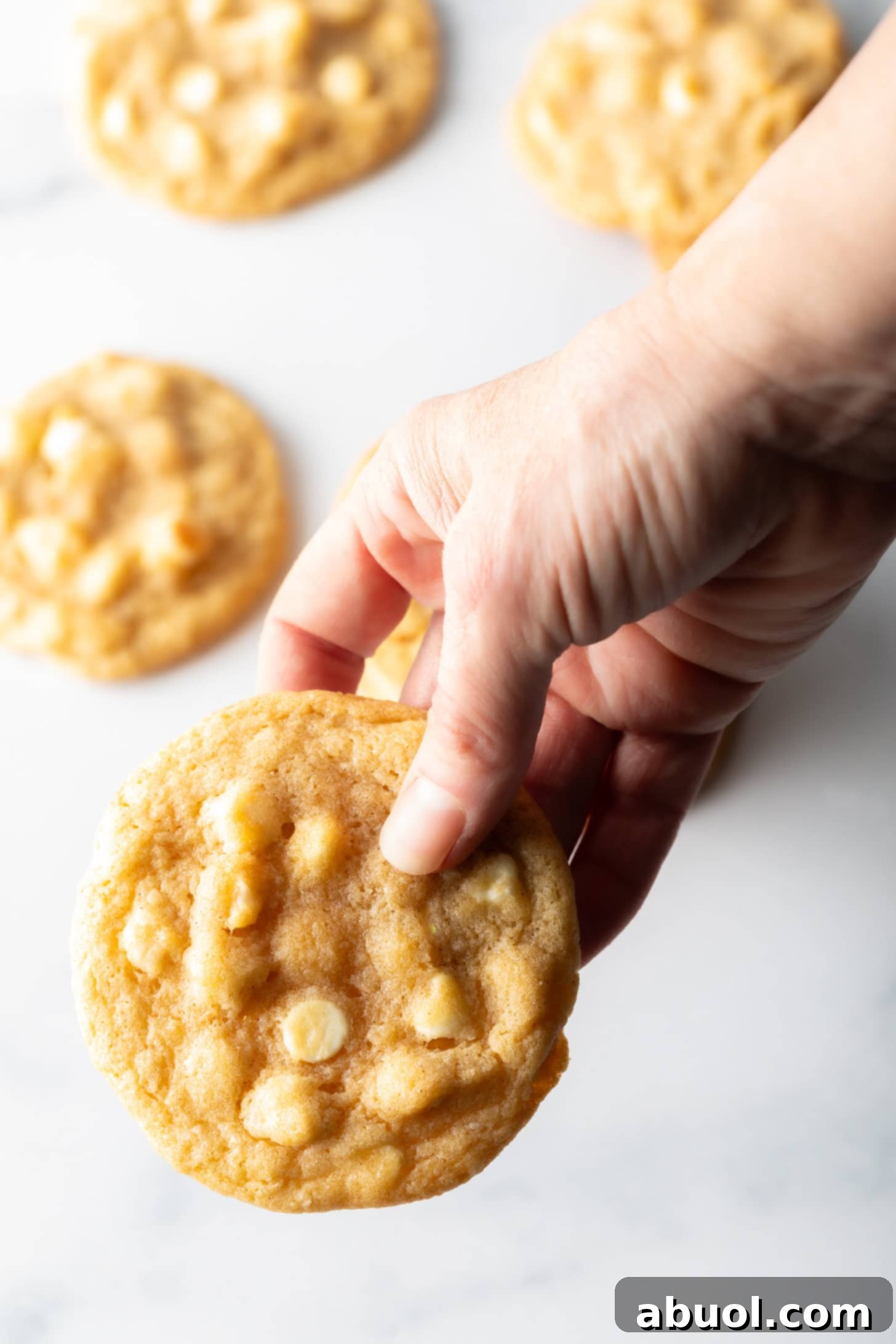 A close-up shot of a white chocolate macadamia nut cookie held in hand, emphasizing its texture and the delicious mix of ingredients.