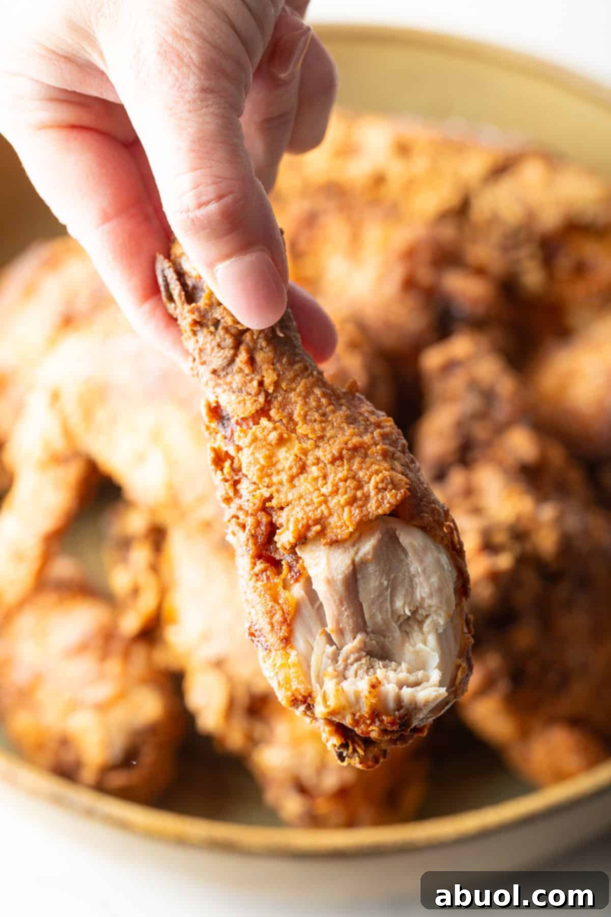 Southern Cast Iron Fried Chicken 11 A hand presenting a southern skillet fried chicken drumstick over a generous bowl of fried chicken pieces.