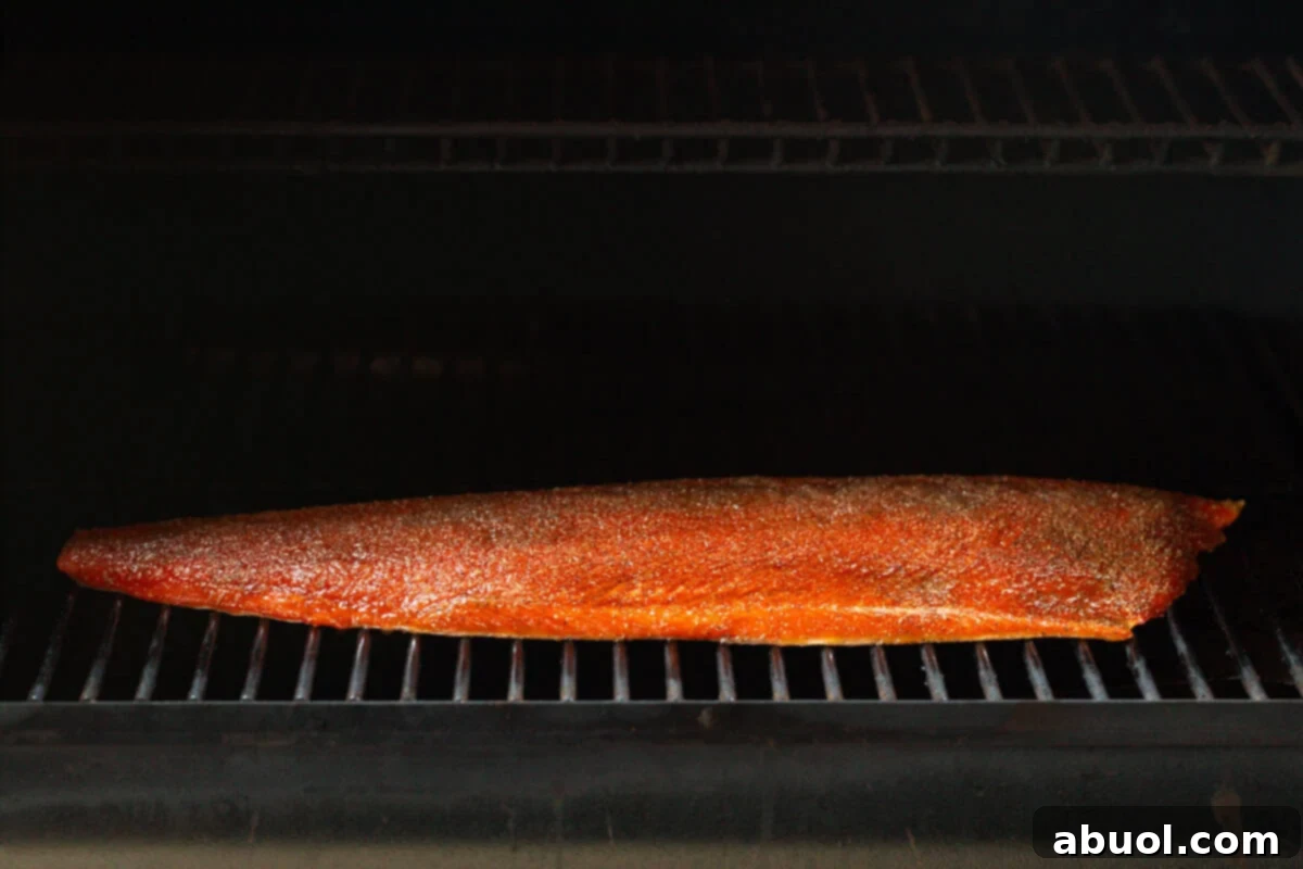 The seasoned salmon fillet placed skin-side down on the grates of a smoker.