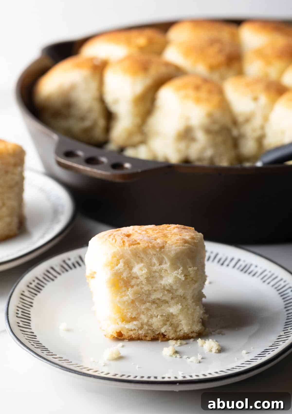 A fluffy homemade yeast biscuit is sitting on a white plate, next to a skillet filled with yeast biscuits.