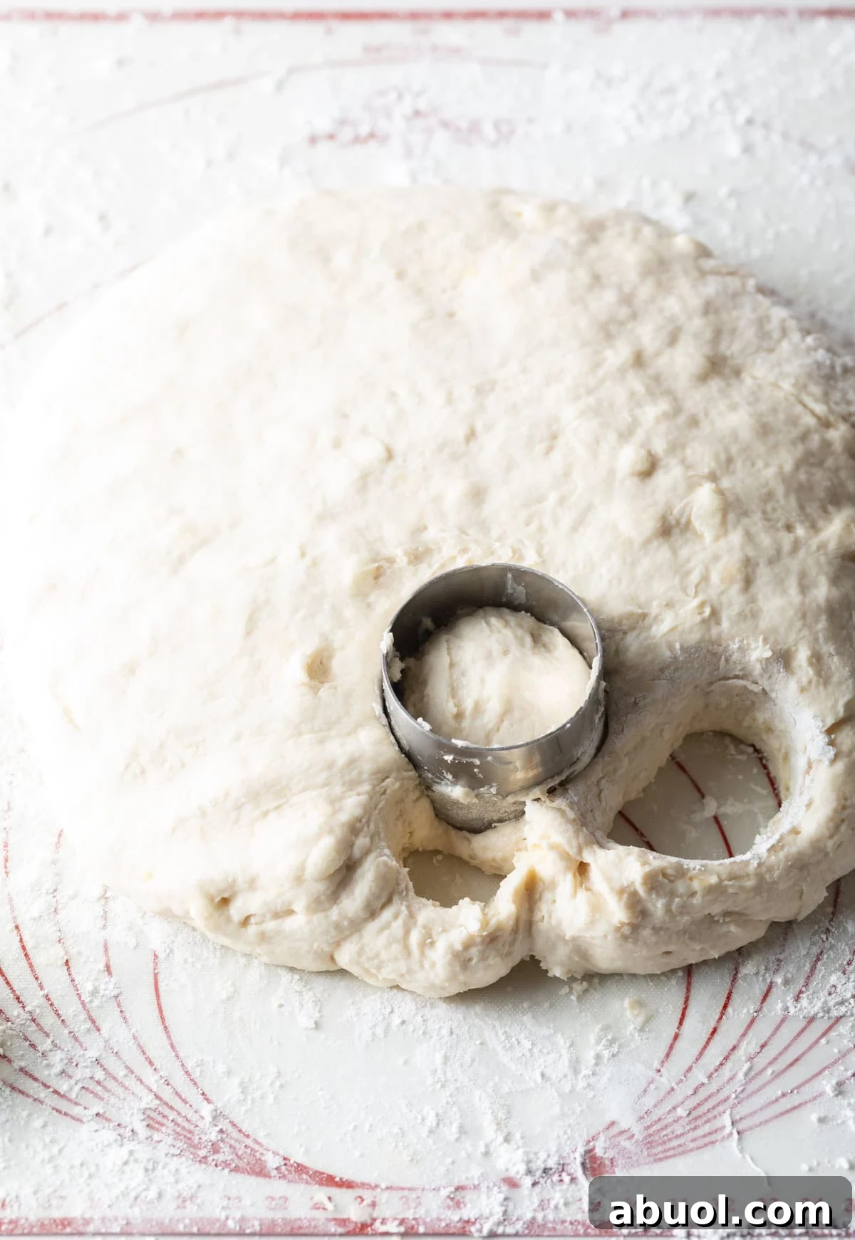 Angel biscuit dough on a floured surface that is being cut with a circular biscuit cutter.