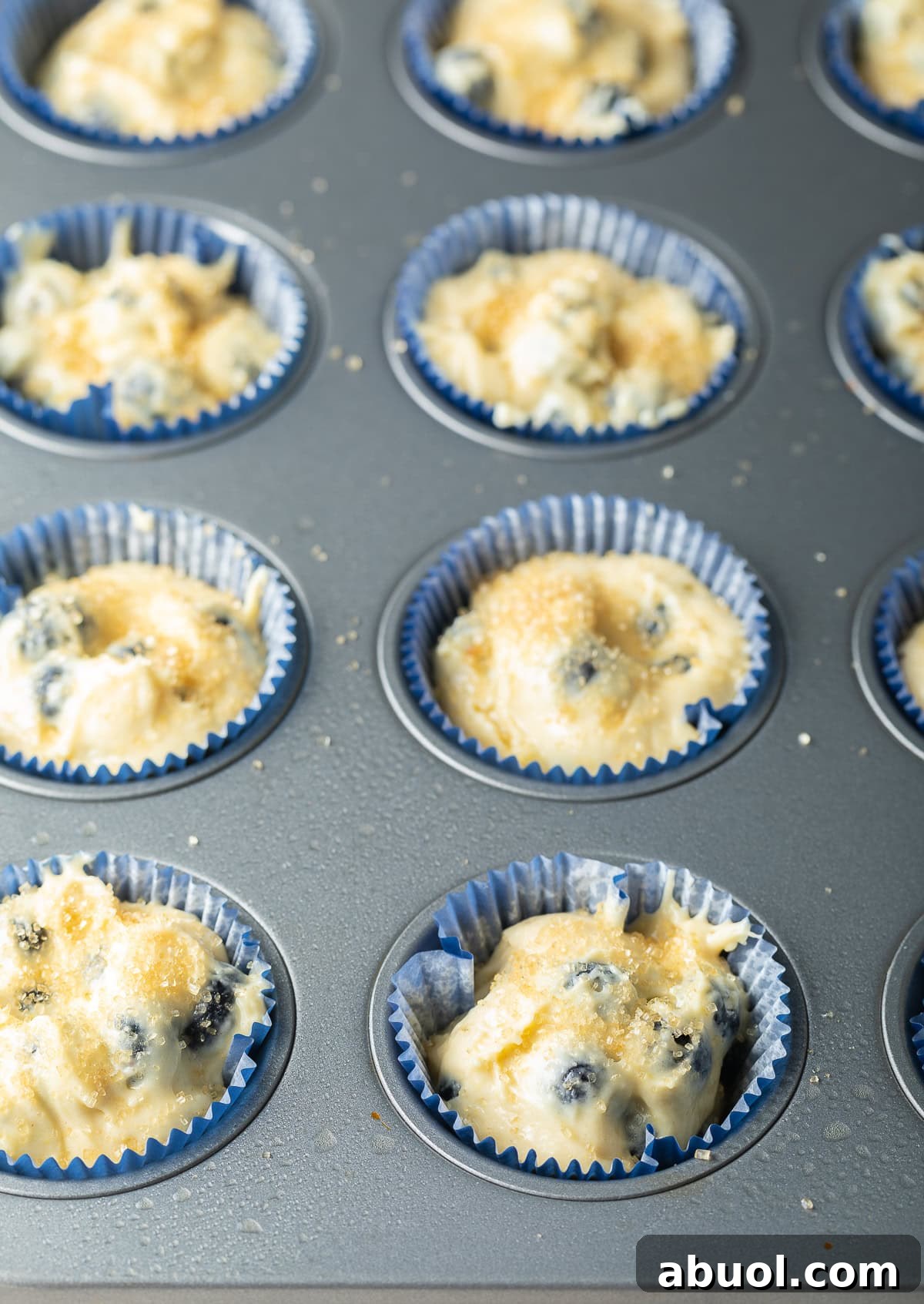 Blueberry muffin batter that has been scooped into a paper-lined muffin tray.