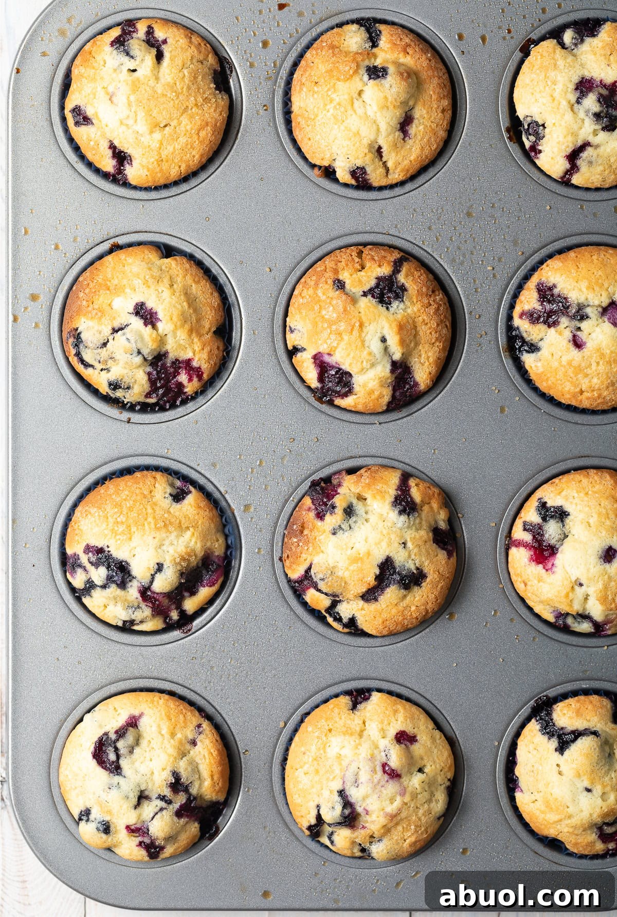 Freshly baked lemon blueberry muffins in a muffin pan.