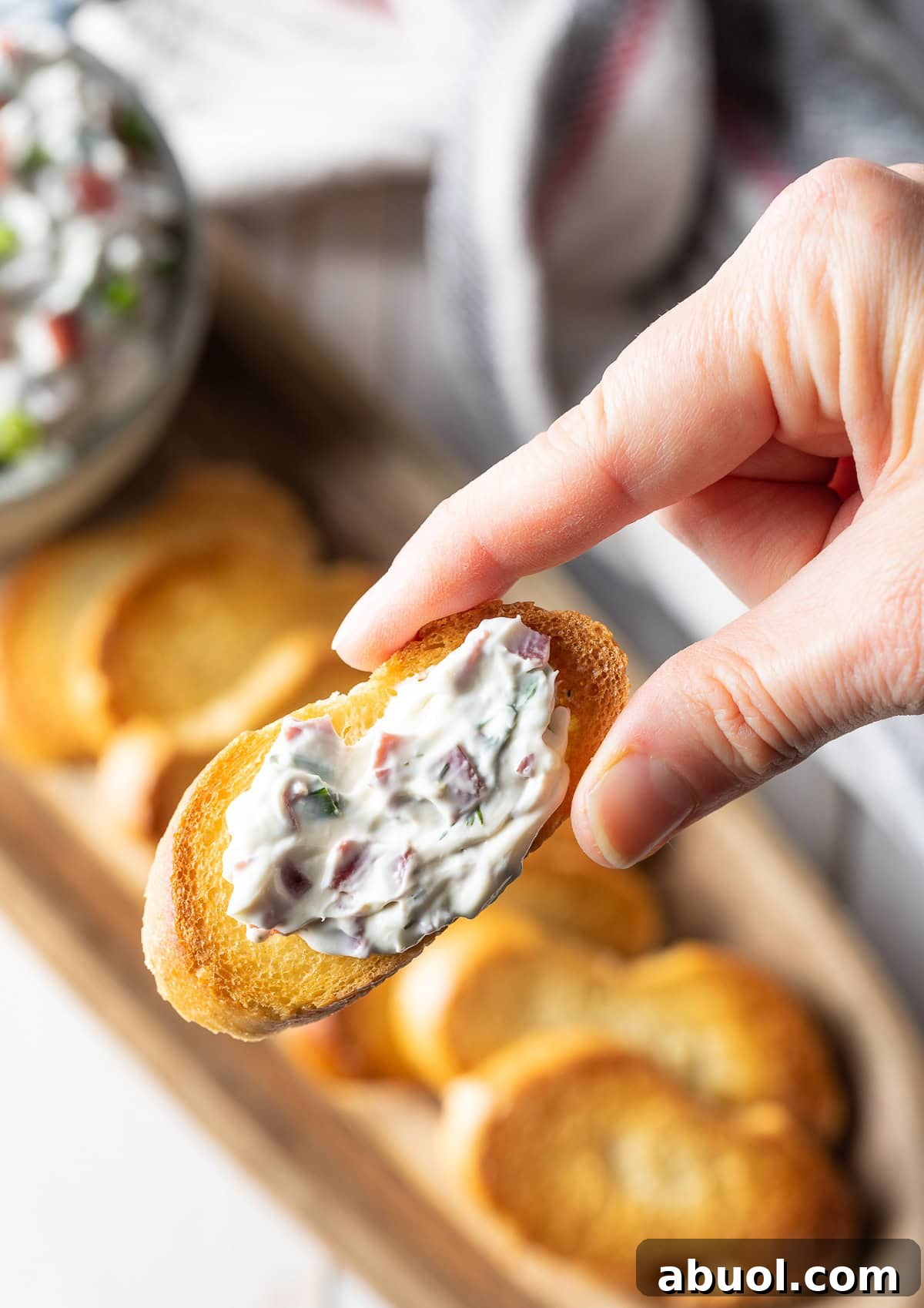 Hand holding toast with Beef Dip spread across the top